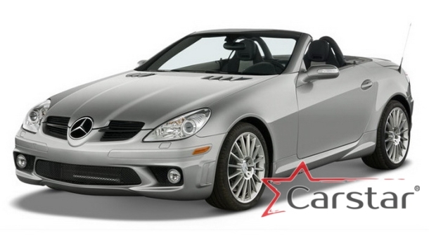 Автомобильные коврики EVA 3D для Mercedes-Benz SLK-klasse II R171 (2004-2011)
