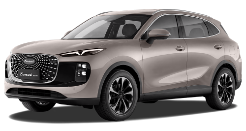 Автомобильные коврики EVA для TENET Plus L6 (2026->)